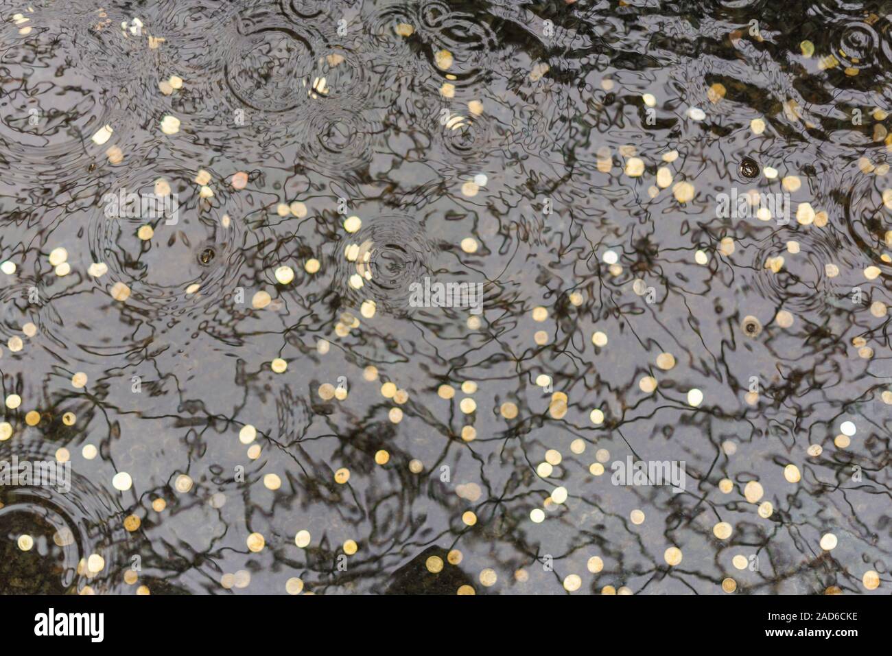 Münzen zum Glück an der Unterseite der Pool geworfen. Wasser mit goldenen Münzen Hintergrund. Stockfoto