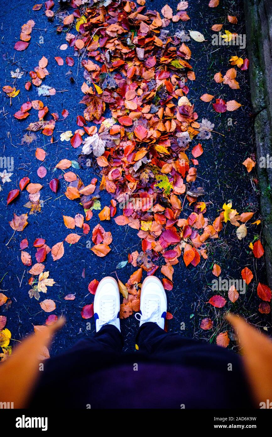 Beine von Male standen in Herbstblättern, Durham, Großbritannien Stockfoto