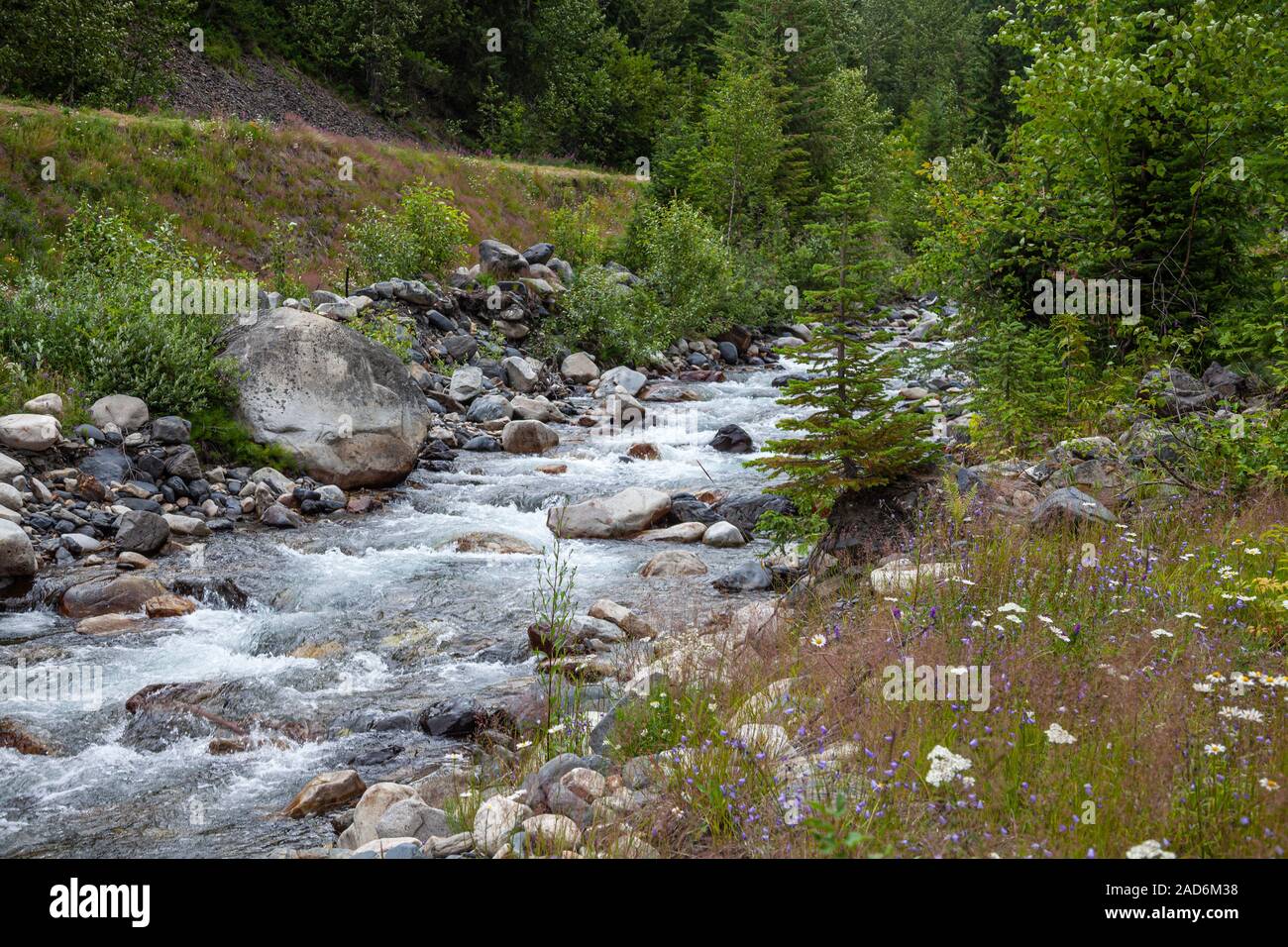 Tischler Creek fließt durch verlassene Bergbau Ghost Town von Sandon, Slocan Valley, West Kootenay, British Columbia, Kanada Stockfoto