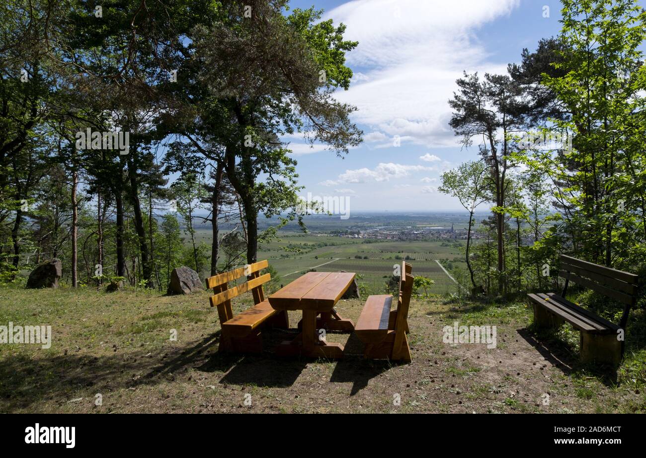 Picknickplatz im Pfälzerwald Stockfoto
