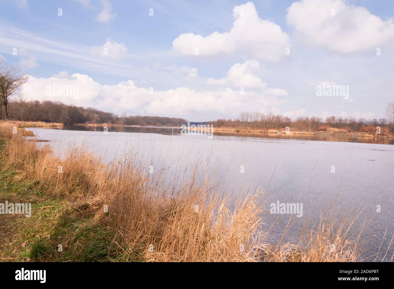 Auenlandschaft, Wilde, unberührte Natur. Sonnige Frühlings Tag. Odra River in Kozanow, Breslau, Polen. Stockfoto
