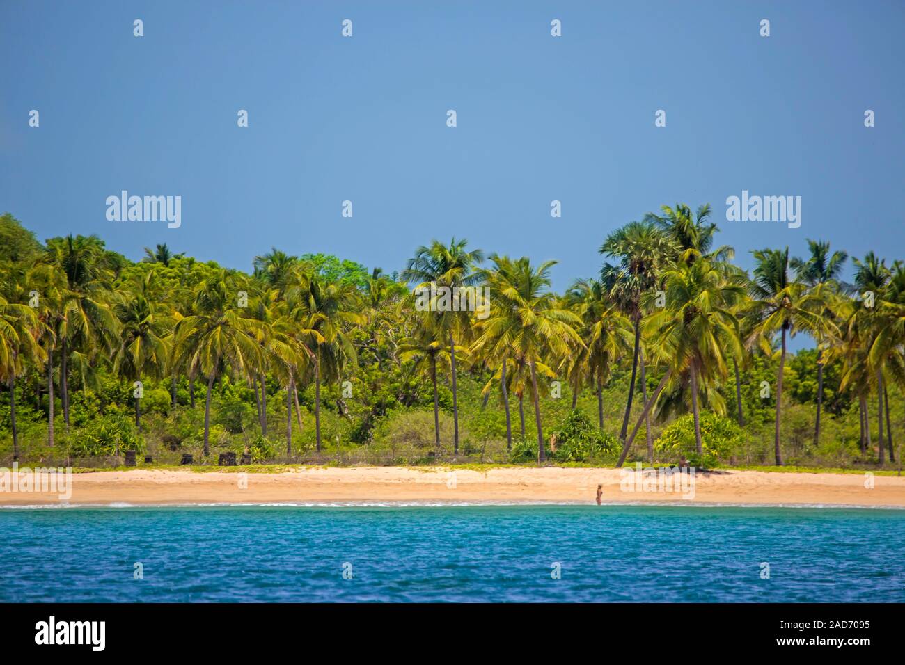 Blauer Himmel, Palmen und ein Paar auf Nilavelli Strand, Trincomalee, Sri Lanka. Stockfoto