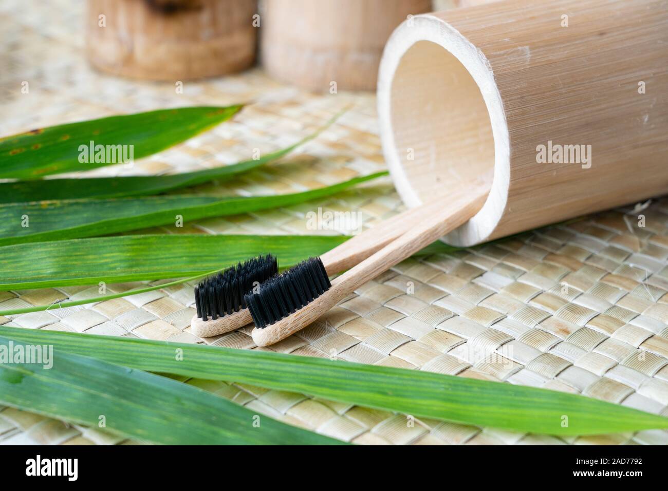 Biologisch abbaubar ungiftig Zahnbürsten aus Bambus in den Philippinen. Stockfoto
