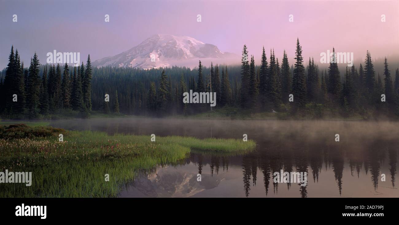 Misty Morning Mount Rainier National Park, Washington, USA Stockfoto