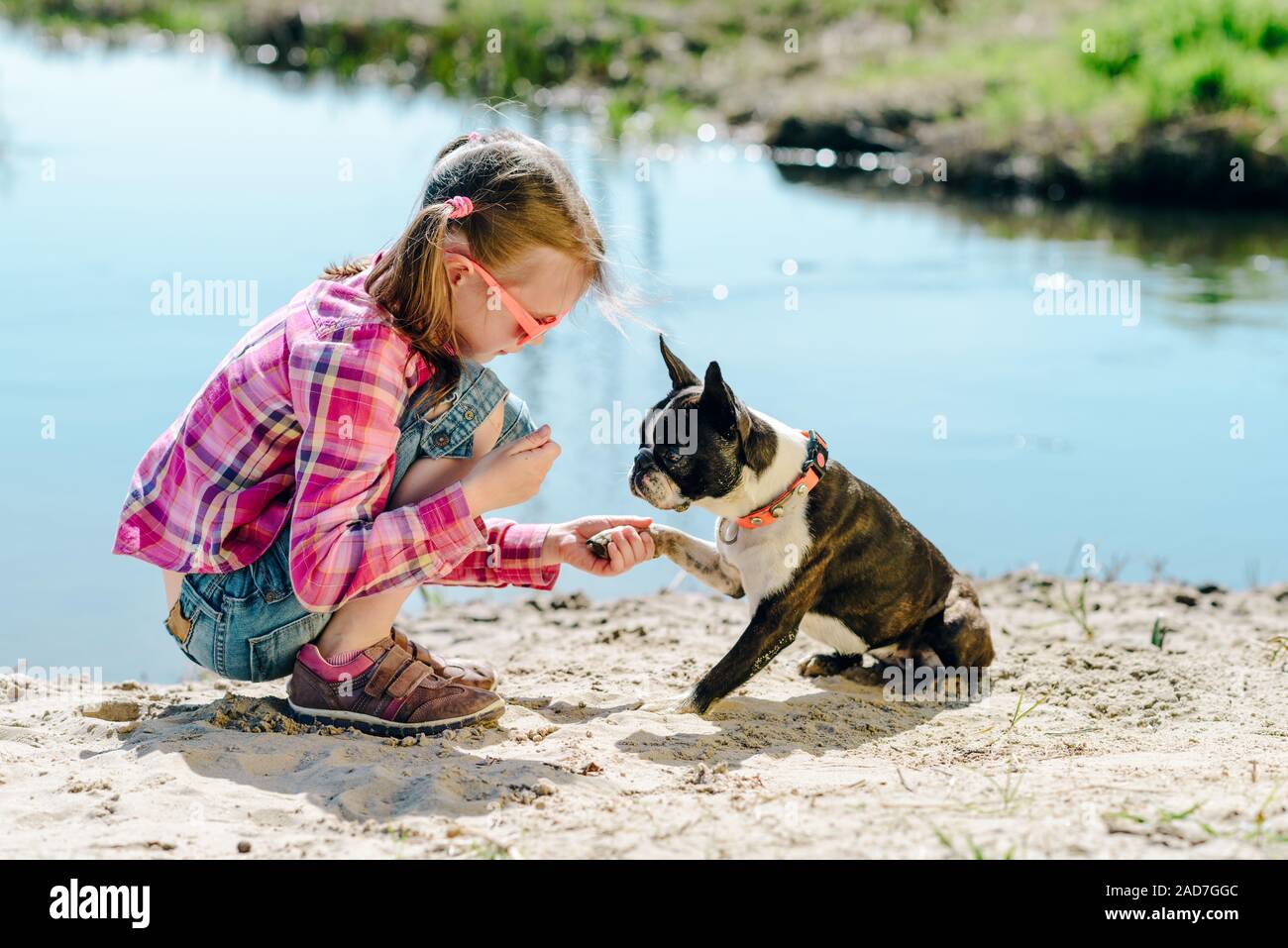 Kind, Mädchen spielen mit Boston Terrier Hund auf dem sandigen Ufer im Freien Stockfoto