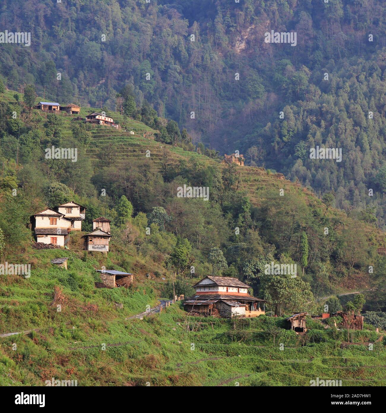 Landschaft in der Nähe von Landruk, Nepal. Traditionelle Architektur. Szene auf dem Weg zum Annapurna Base Camp. Stockfoto