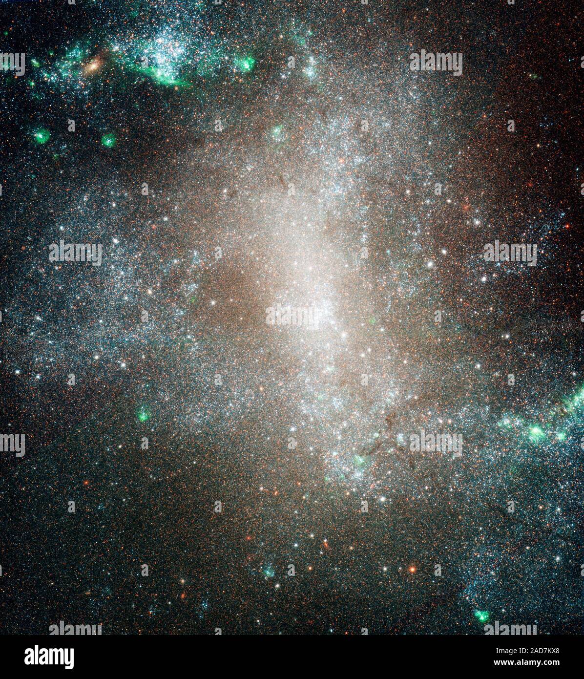 Dies ist ein NASA-Hubble-Weltraumteleskop Bild der zentralen Region der Spiralgalaxie NGC 1313. Hubble wurde verwendet, um Sterne in der Galaxie eine Zählung der verschiedenen Klassen der Sterne in der Galaxie verteilt zu tun zu lösen. Die Beobachtungen zeigen, dass heiße blaue Sterne (von Klasse B) sind weit über die Galaxie verstreut. Dies ist ein Beweis für "säuglingssterblichkeit", in der der Junge, der so genannten offenen Sternhaufen, wo Sterne geboren werden, wurde schnell gravitativ' Batterieinnere freigelegt" und ihre Bewohner Sterne in der Galaxie verstreut. NGC 1313 ist 50.000 Lichtjahre und liegt 14 Millionen Lichtjahre entfernten Stockfoto