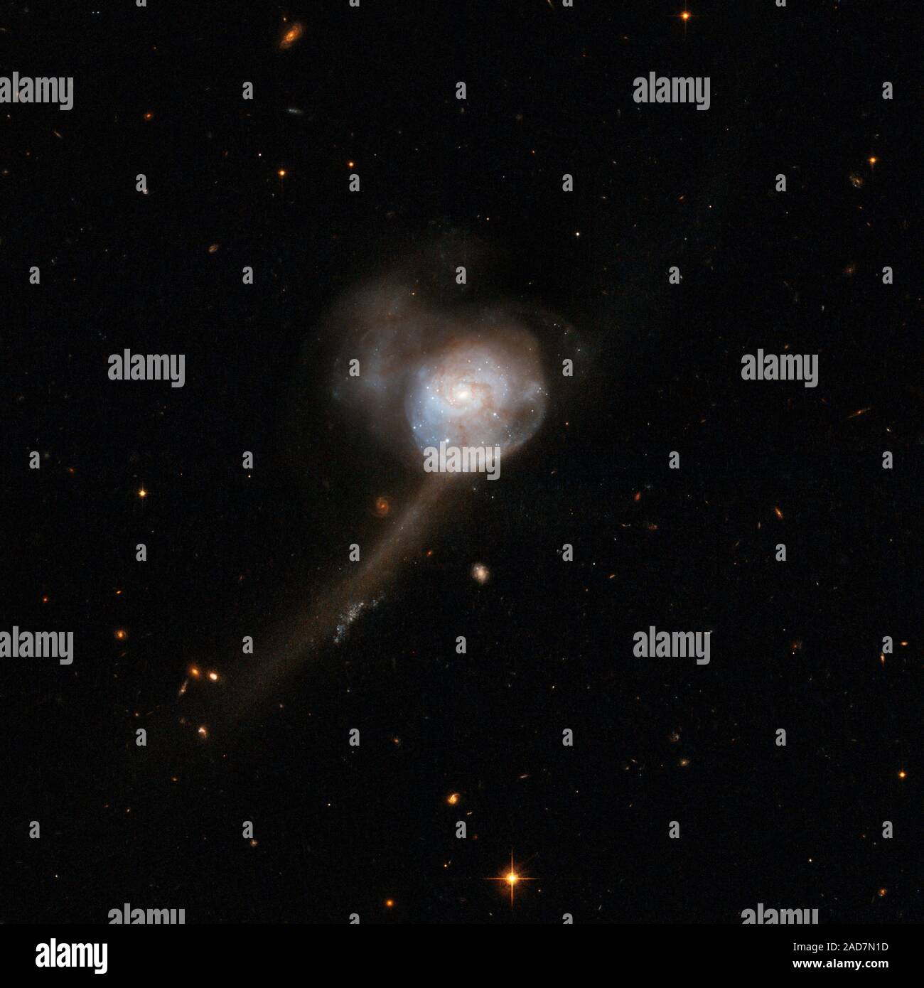 Dieser Galaxie verfügt über einen einzelnen Kern, mit einem blauen zentralen Festplatte mit zarten feine Struktur in der äußeren Teile, und Tidal tails Indikative von zwei ehemaligen Scheibengalaxien. Heute sind diese Galaxien erscheinen ihre Fusion abgeschlossen zu haben. Der überrest zeigt deutliche Anzeichen, dass die Fusion wurde Gas-reichen und begleitet von einem Starburst. NGC 17 Gas-reichen und kann seine starken zentralen Starburst und Milde zentrale Aktivität sustain für einige Zeit zu kommen. NGC 17 ist etwa 250 Millionen Lichtjahre entfernt im Sternbild Walfisch, der Wal. Dieses Bild ist Teil einer großen Sammlung von 59 imag Stockfoto