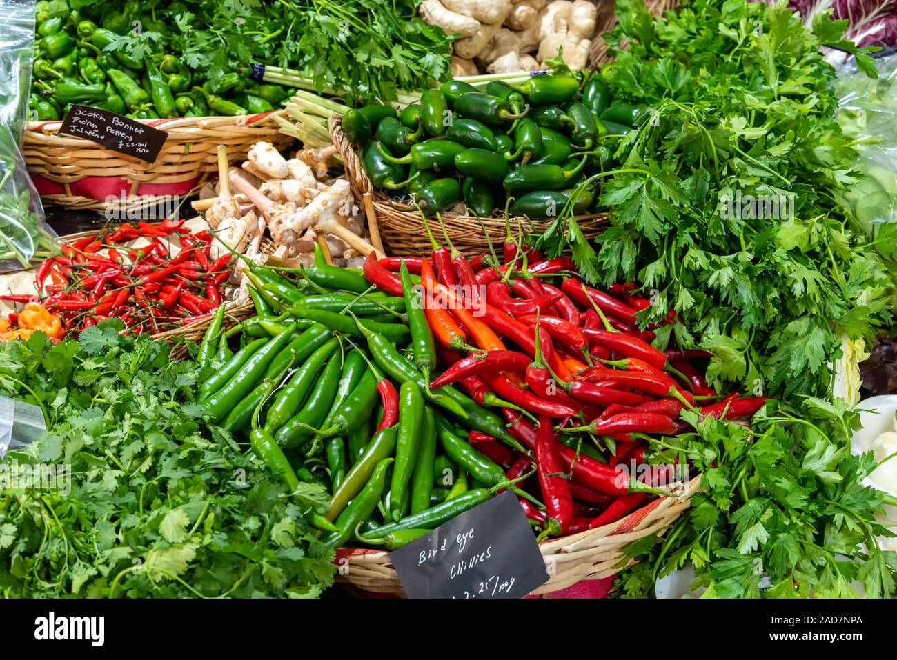 Verschiedene Arten von Chilis und Kräuter für den Verkauf auf dem Markt Stockfoto