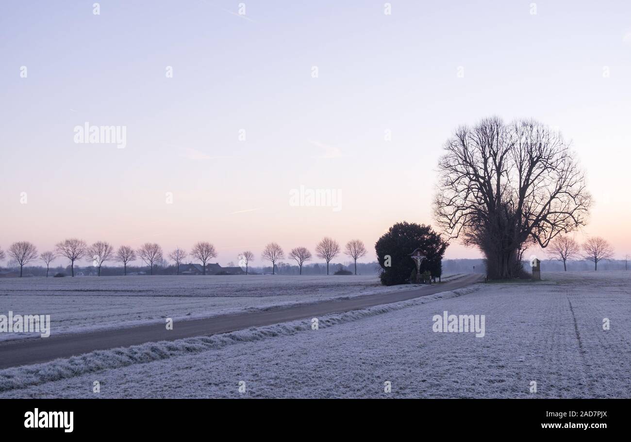 Wintermorgen Stockfoto