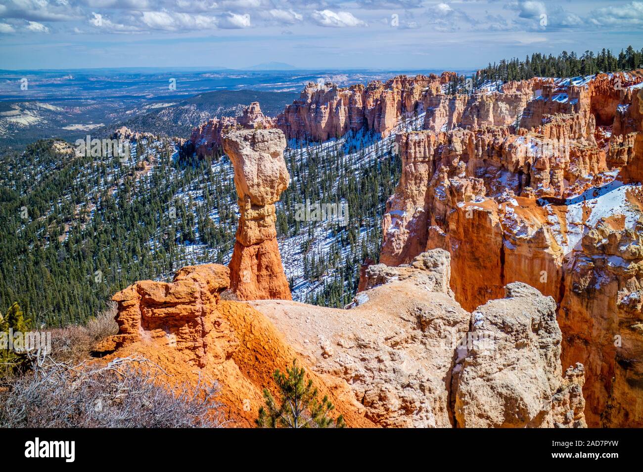 Red Rocks, Hoodoos im Ponderosa Punkt im Bryce Canyon National Park, Utah Stockfoto