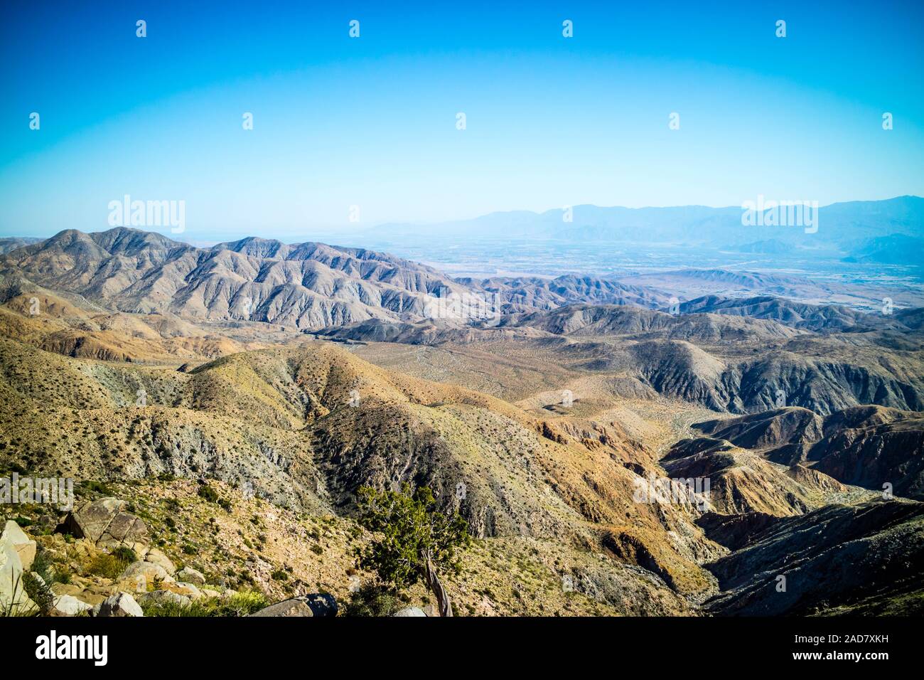 Malerischer Blick auf Ryan Berg in Joshua Tree National Park, Kalifornien Stockfoto