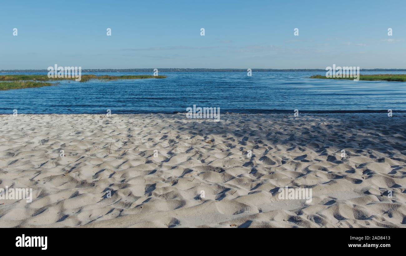See Louisa State Park, Florida, USA, White Sand Beach Stockfoto