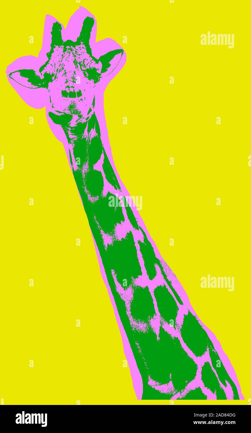 Giraffe Bild über Gelb Hintergrund im Pop Art Stil Stockfoto