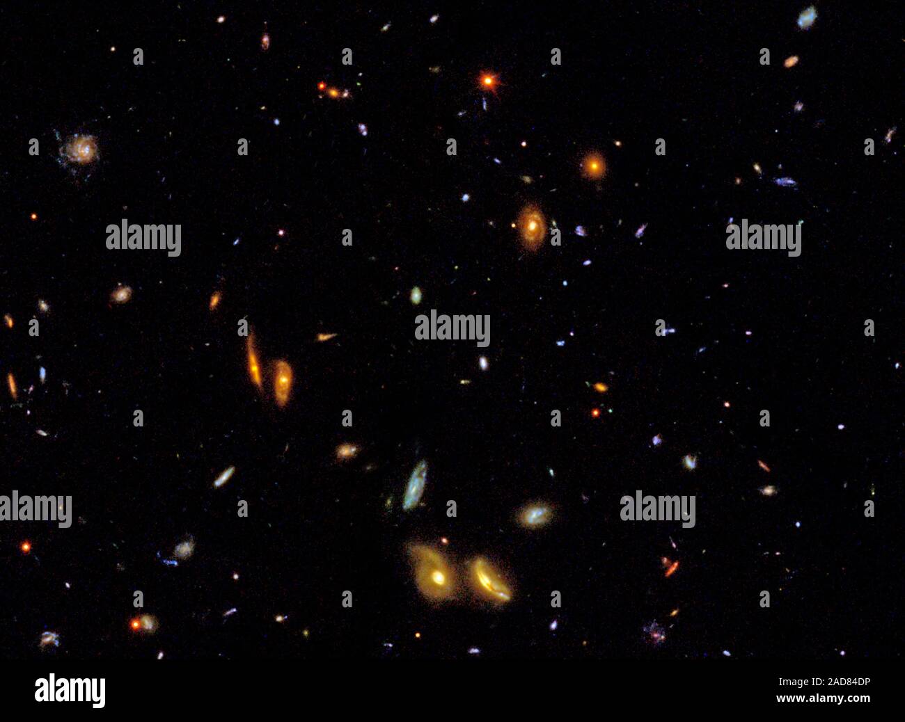 Das IMAX-Kurzfilm "Hubble: Galaxien über Raum und Zeit' wandelt Bilder und Daten von Nasas Hubble Space Telescope, die Zuschauer in eine Reise durch das Universum Sweeps und zurück in der kosmischen Geschichte. Dieses Beispiel aus dem Film zeigt eine lebendige und vielfältige Sammlung von Galaxien innerhalb der 650-Megapixel-Mosaik Bild des Great Observatories Origins Deep Survey erstellt. Nur ein großes Format Film kann gleichzeitig sowohl im großen Stil von Tausenden von Galaxien und die feinen Details der einzelnen galaxy Struktur zeigen. Diese Galaxien sind über Milliarden von Licht gestreut - Jahre, Anzeigen Stockfoto