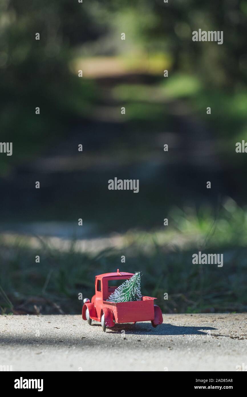 Weihnachten in Florida Konzept. Rot Spielzeug-LKW schleppt ein Baum ist in einem bewaldeten Lake Louisa State Park in der Nähe von Orlando, Florida. Stockfoto