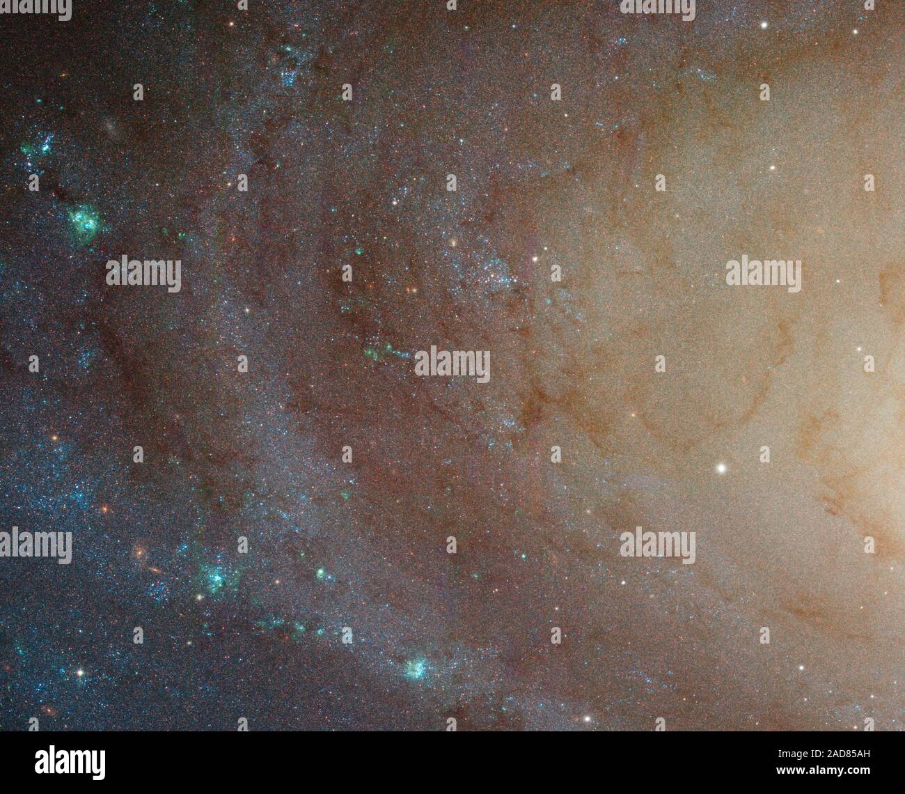 Die schärfste Bild genommen, der großen "grand design" Spiralgalaxie M81 wird heute an der Amerikanischen Astronomischen Gesellschaft in Honolulu, Hawaii. Eine spiralförmige System von Sternen, Staub- und Gaswolken, die Arme des Galaxy Wind ganz nach unten in den Zellkern. Obwohl die Galaxie 11,6 Millionen Lichtjahre entfernt ist - Jahre entfernt, das Hubble Space Teleskop ist so scharf, dass es einzelne Sterne, zusammen mit offene Sternhaufen, Kugelsternhaufen und sogar glühende Regionen von fluoreszierenden Gas lösen können. Das Hubble Daten wurde mit der Advanced Camera für Erhebungen in 2004 throug genommen Stockfoto