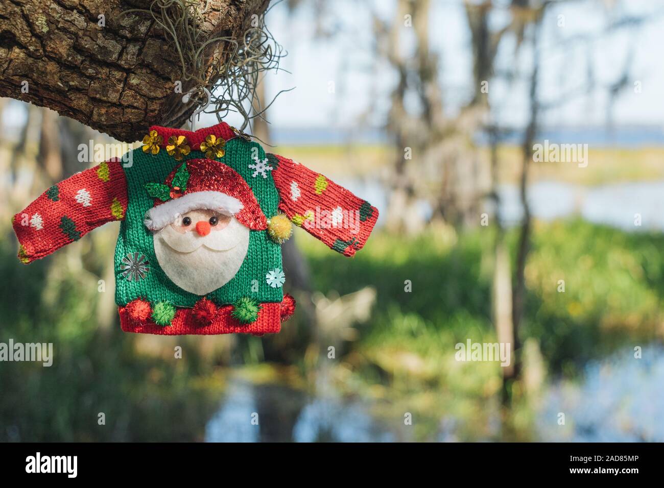 Weihnachten in Florida Konzept. Santa's hässlich Pullover in den Sümpfen von Lake Louisa State Park in der Nähe von Orlando, Florida. Stockfoto