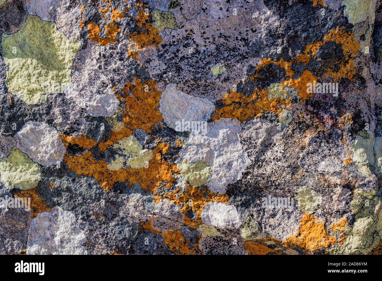 Südafrika, Fels. Stockfoto