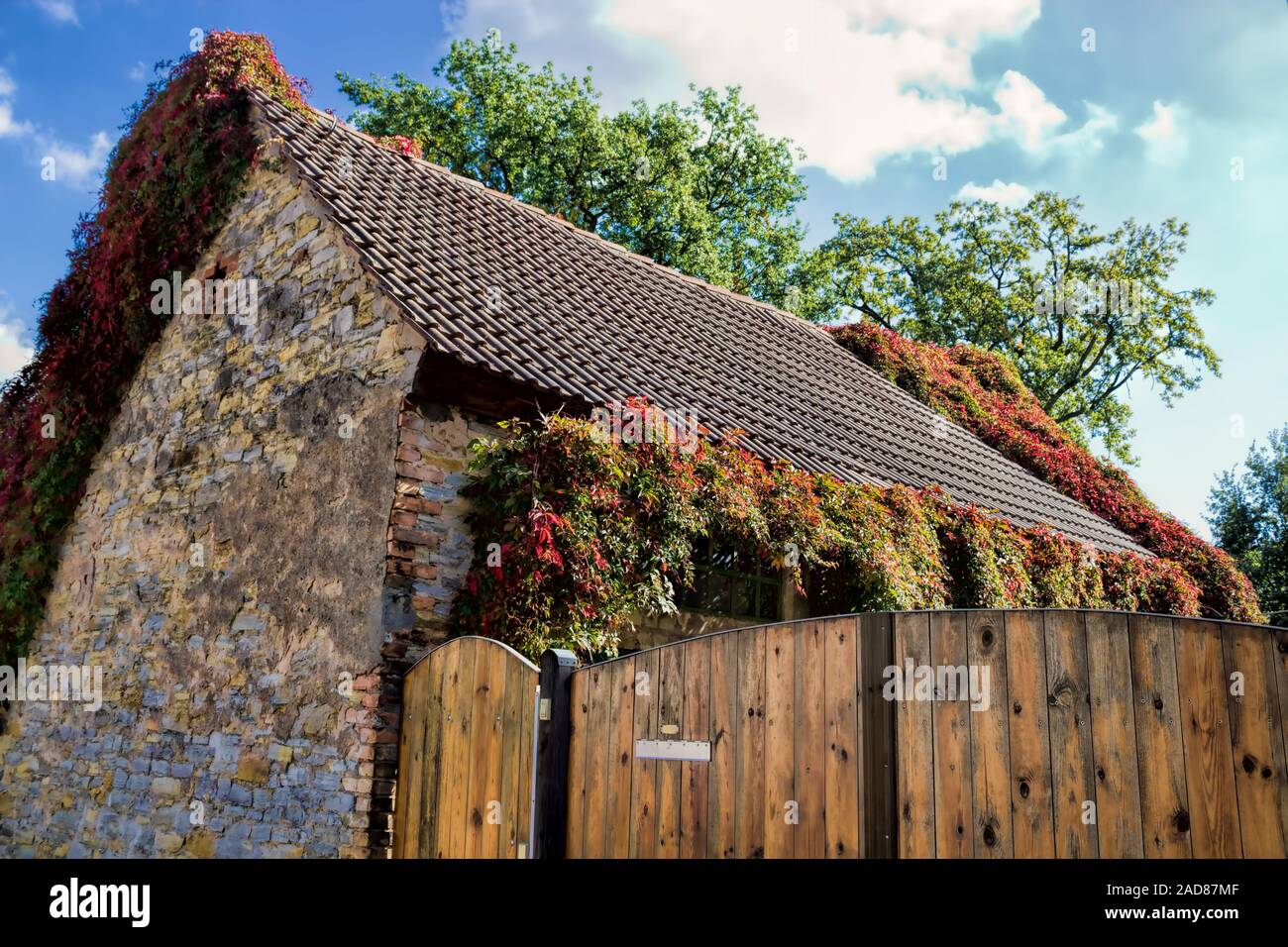 Altes haus mit efeu -Fotos und -Bildmaterial in hoher Auflsung  Alamy