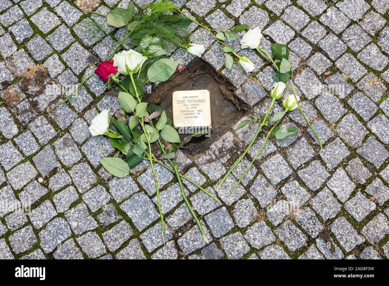 Verlegung des tolpersteins" durch den Kölner Künstler Gunter Demnig am 3.12.2019 an der Töpferstraße 35 in Bautzen für Elise Sussmann, ehemalige j Stockfoto