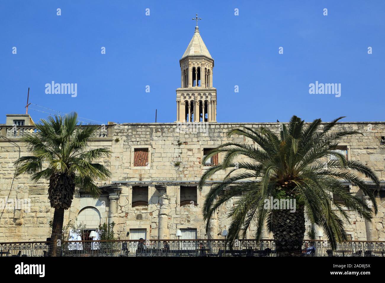 Palmen an der Uferpromenade Riva in Split, Kroatien Stockfoto