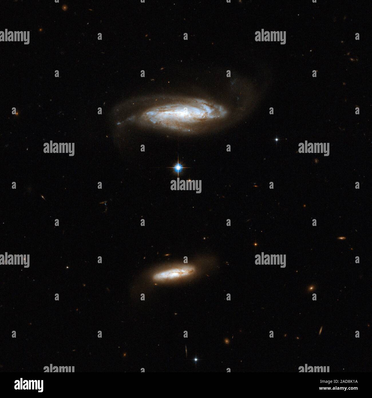 IC 2810 ist eine Galaxie gesehen fast der Kante. Es ist leicht gestört durch die gravitative Wechselwirkung mit einem kleineren, staubigen Begleiter (unten im Bild). Die größeren Galaxie zeigt blaue Knoten der Sternentstehung. Obwohl das Paar keine überlappenden Region hat derzeit ist es möglich, dass die beiden schließlich in die Zukunft kollidieren. IC 2810 im Sternbild Leo, der Löwe, etwa 450 Millionen Lichtjahre entfernt. Dieses Bild ist Teil einer großen Sammlung von 59 Bildern der verschmelzenden Galaxien, die das Hubble-Weltraumteleskop aufgenommen und anlässlich seines 18 anni freigegeben Stockfoto