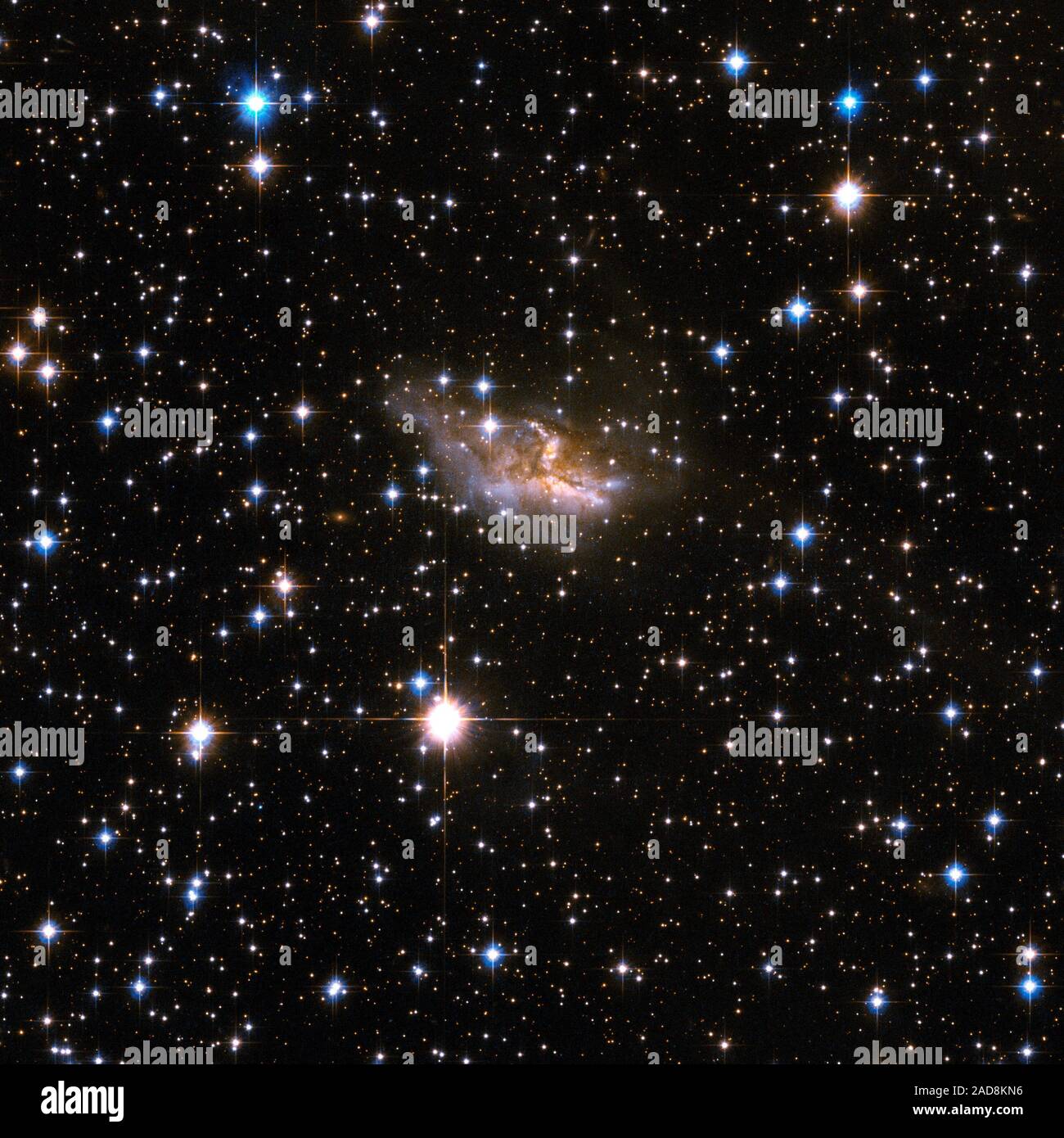 ESO 99-4 ist eine Galaxie mit einem höchst eigentümliche Form, ist wahrscheinlich der Überrest eines früheren Fusion, dass es über die visuelle Erkennung verformt hat, so dass der Körper weitgehend durch dunkle Bänder von Staub verdeckt werden. ESO 99-4 liegt in ein reiches Feld der Vordergrund Sterne im Sternbild Triangulum Australe, die Südliche Dreieck, etwa 400 Millionen Lichtjahre entfernt. Dieses Bild ist Teil einer großen Sammlung von 59 Bildern der verschmelzenden Galaxien, die das Hubble-Weltraumteleskop aufgenommen und anlässlich des 18. Jahrestag am 24. April 2008. Objektnamen: ESO 99-4, ESO 099-G004 Stockfoto