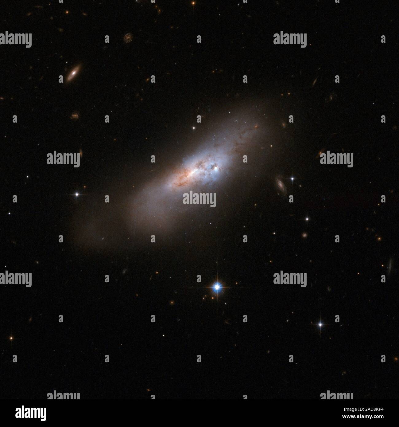 ESO 507-70 ist ein seltsam Galaxy Das ist wahrscheinlich der Überrest eines früheren Fusion. Es ist eine chaotische Wirbel von Gas, Staub und Sterne mit kein Zeichen der vermutete ursprüngliche Spirale oder elliptische Struktur, jetzt verloren und darüber hinaus Anerkennung in einem gravitationsfeld Begegnung mit einer anderen Galaxie verzerrt. ESO 507-70 ist rund 300 Millionen Lichtjahre von der Erde entfernt in Richtung Sternbild Hydra, die Wasserschlange. Dieses Bild ist Teil einer großen Sammlung von 59 Bildern der verschmelzenden Galaxien, die das Hubble-Weltraumteleskop aufgenommen und anlässlich des 18. Jahrestag am 24. April 2008. Stockfoto