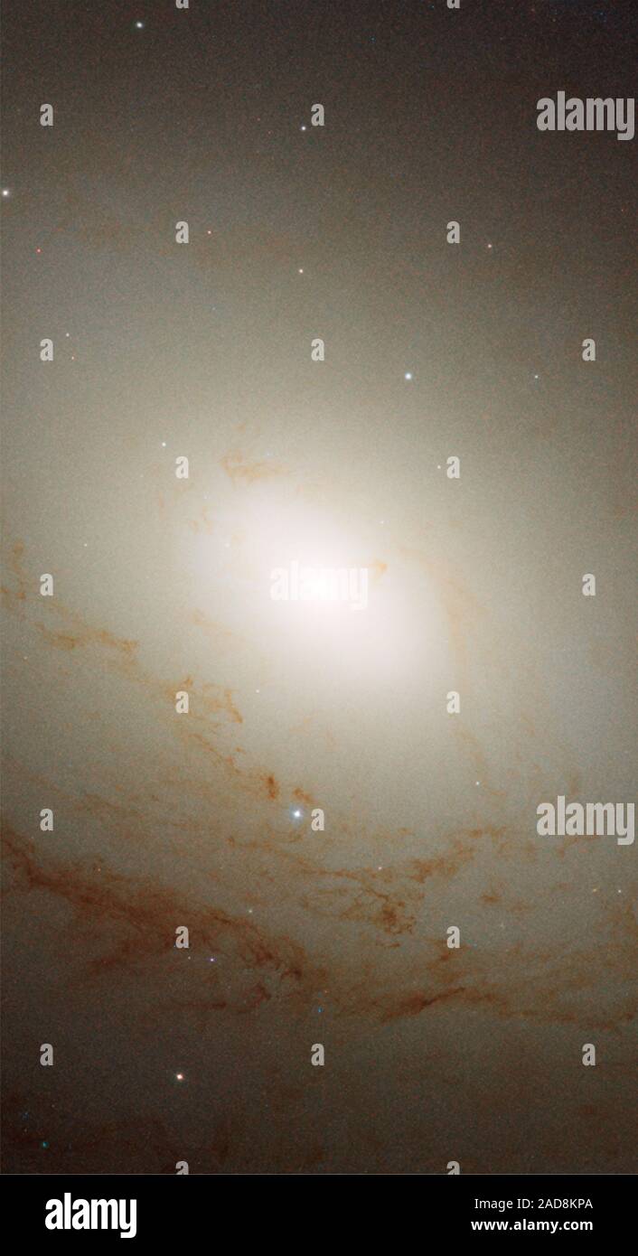 Den inneren Wulst und Kern von M 81. Objekt: M 81, NGC 3031, Bodes Galaxy Bild Typ: Astronomische Credit: NASA, ESA, A. und J. Zezas Huchra (harvard-smithsonian Center für Astrophysik) Stockfoto