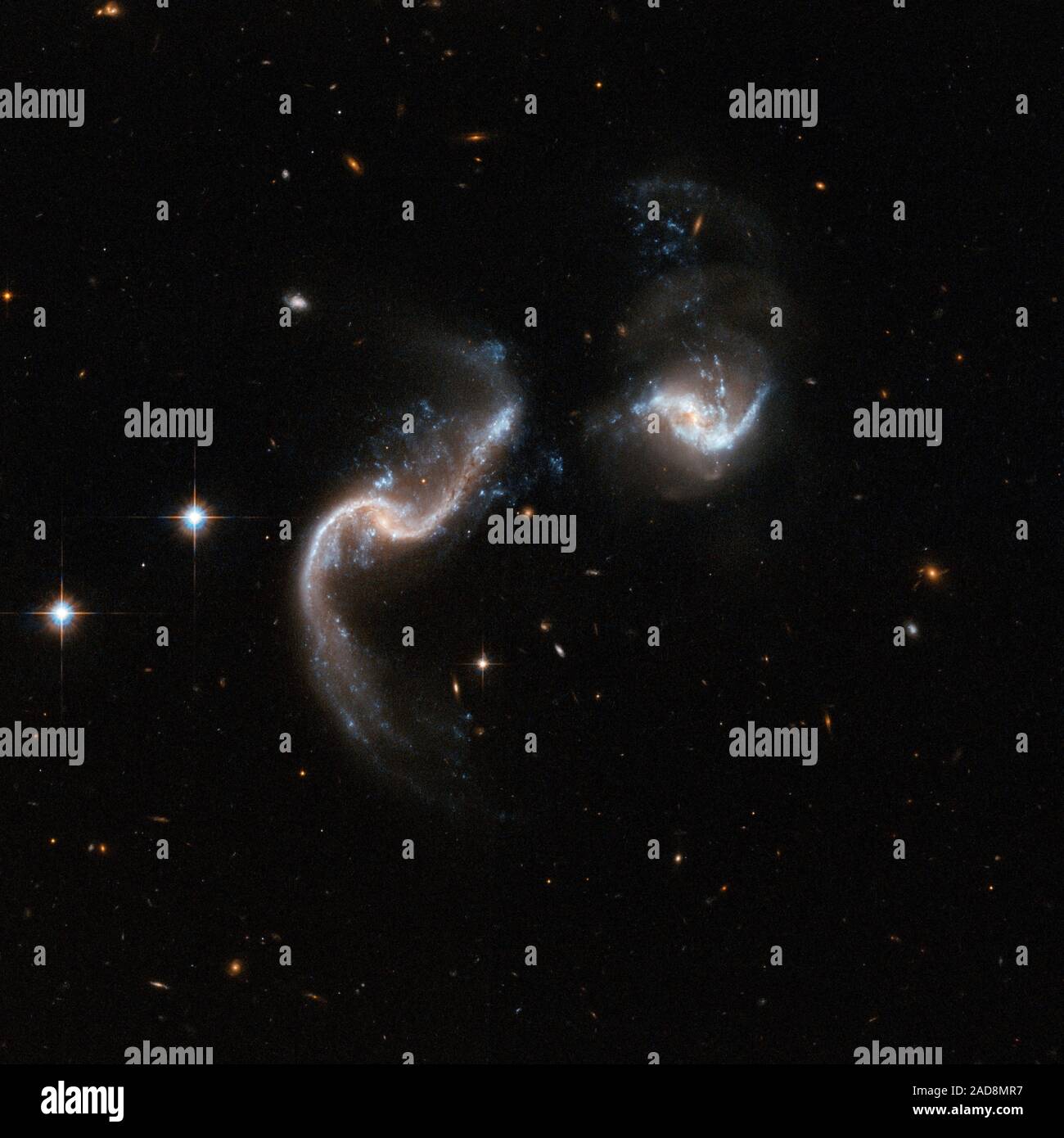 Arp 256 ist eine atemberaubende System von zwei Spiralgalaxien in einem frühen Stadium der Verschmelzung. Das Hubble-bild zeigt zwei Galaxien mit stark gestört Formen und eine erstaunliche Anzahl von blauen Knoten der Sternentstehung, die wie explodierende Feuerwerk schauen. Die Galaxie nach links hat zwei erweiterte Band - wie Schwänze von Gas, Staub und Sterne. Das System ist ein leuchtendes Infrarot system strahlt mehr als hundert Milliarden Mal die Leuchtkraft unserer Sonne Arp 256 im Sternbild Walfisch, der Wal befindet, etwa 350 Millionen Lichtjahre entfernt. Es ist die 256. in der Galaxie Arp Atlas der eigenartigen Galaxien. T Stockfoto