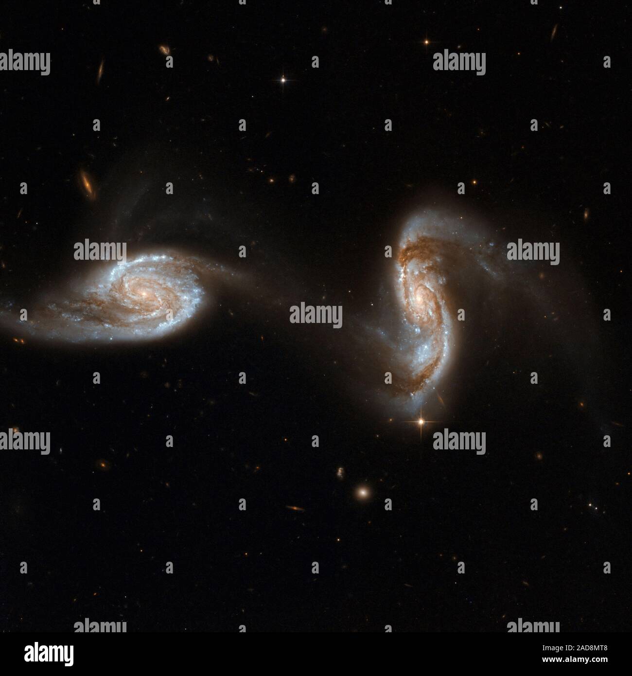 NGC 5257/8 (Arp 240) ist eine erstaunliche galaxy Paar, komponiert von Spiralgalaxien ähnliche Masse und Größe, NGC 5257 und NGC 5258. Die Galaxien sind sichtlich die Interaktion mit jedem anderen über eine Brücke von Dim Sterne zwischen den beiden Galaxien, fast wie zwei Tänzer, Hände halten, während Sie eine Pirouette. Beide Galaxien Hafen supermassive schwarze Löcher in ihren Zentren und sind aktiv die Bildung neuer Sterne auf Ihren Festplatten. Arp 240 ist im Sternbild Jungfrau, etwa 300 Millionen Lichtjahre entfernt - Jahre entfernt, und ist der 240 in der Galaxie Arp Atlas der eigenartigen Galaxien. Mit der Ausnahme von ein paar f Stockfoto