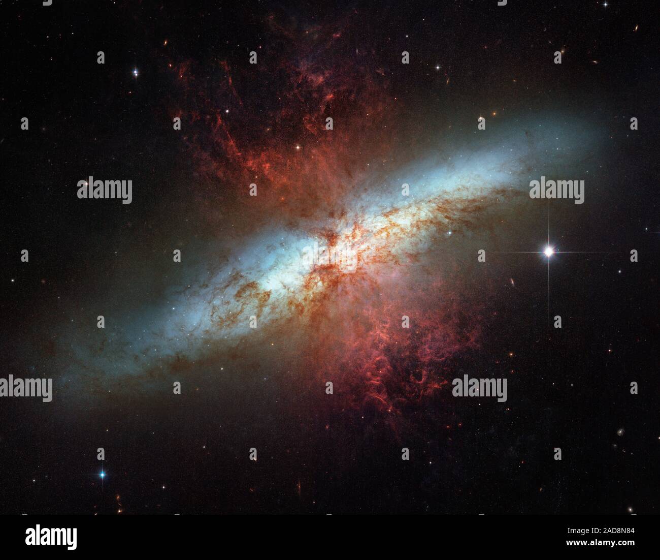 Happy Sweet Sixteen, Hubble Teleskop! - Starburst Galaxie M82. Federn von glühende Wasserstoff Knall von der zentrale Kern von M 82. Das blasse, sternförmige Objekte sind Gruppen von zehn bis zu Hunderten von Tausenden von Sternen. Quelle: NASA, ESA, und das Hubble Heritage Team (STScI/AURA) Bestätigung: J. Gallagher (Universität von Wisconsin), M.Berg (STScI) und S. Puxley (National Science Foundation) Stockfoto