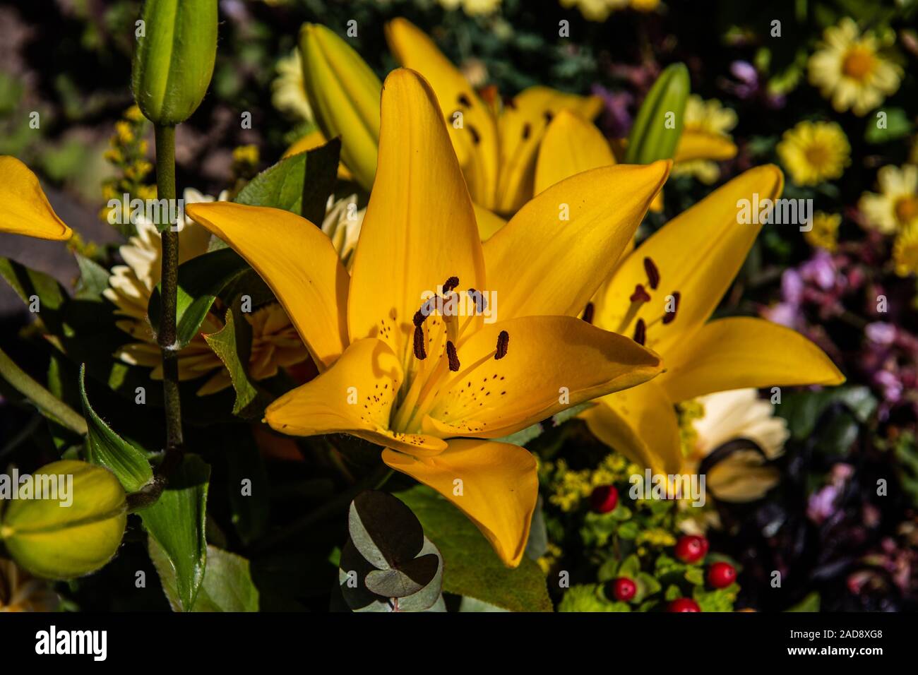 Schönen gelb grün Blumenstrauß mit Lilien und Rosen Stockfoto