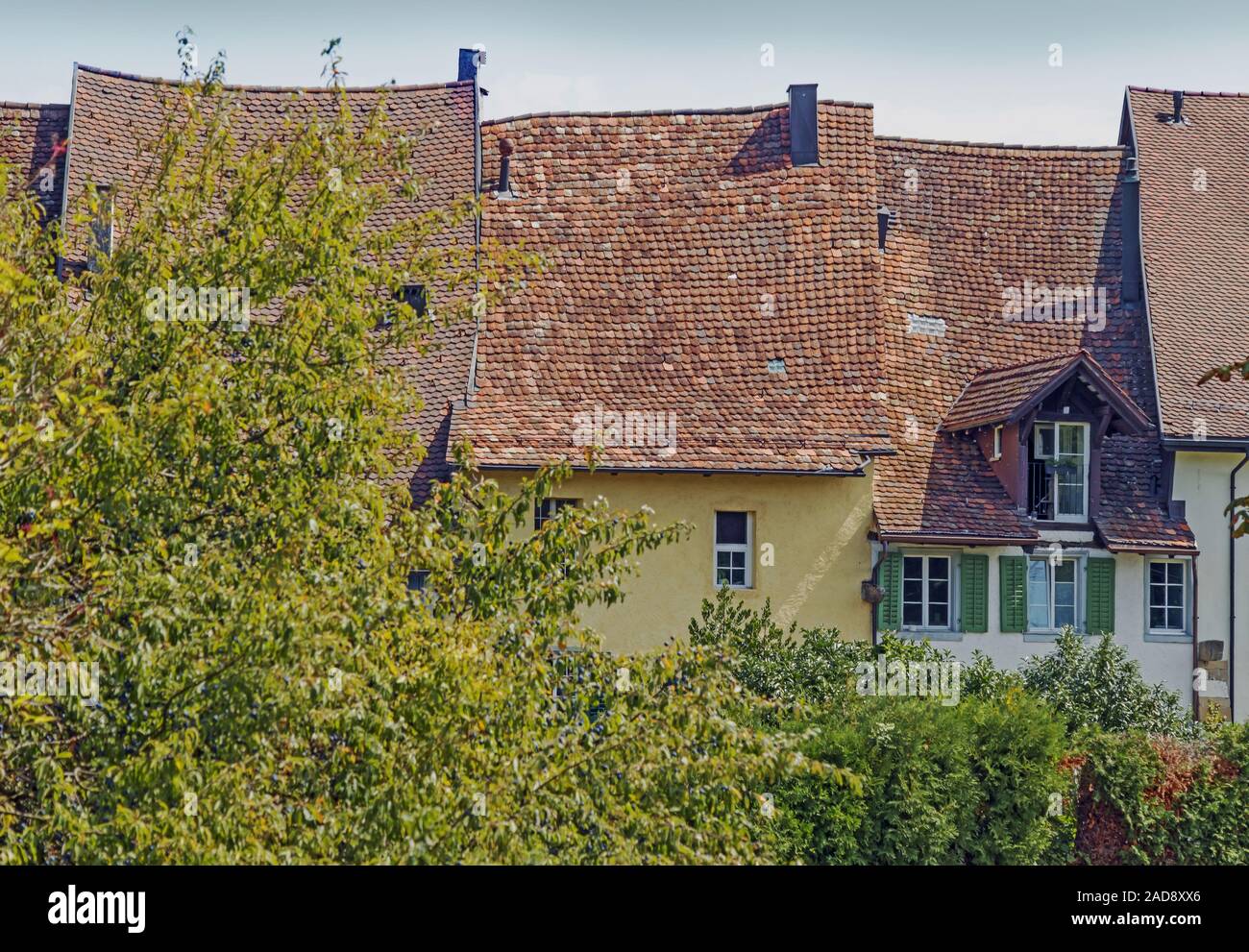 Gebäude, Kaiserstuhl Aargau, Hochrhein, Schweiz Stockfoto