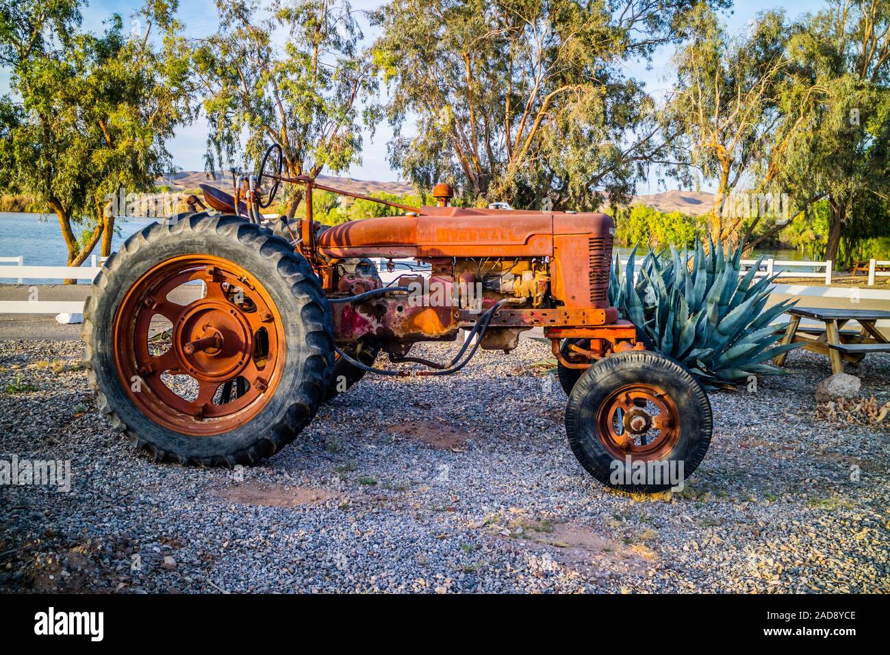Ein leistungsstarker Motor Fahrzeug mit großen Hinterräder in Yuma, Arizona Stockfoto