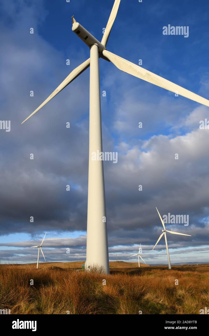 Scottish Power's Whitelee Windfarm im East Renfrewshire, Schottland ist der größte Onshore-Windpark in Großbritannien. Stockfoto
