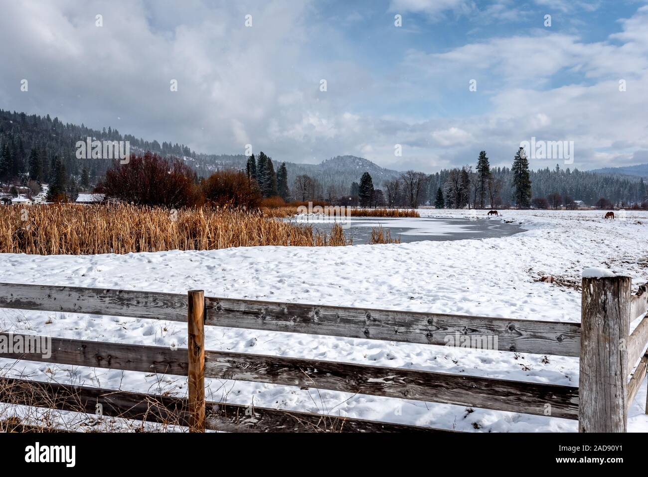 Gefrorener teich im wald im winter Fotos und Bildmaterial in hoher