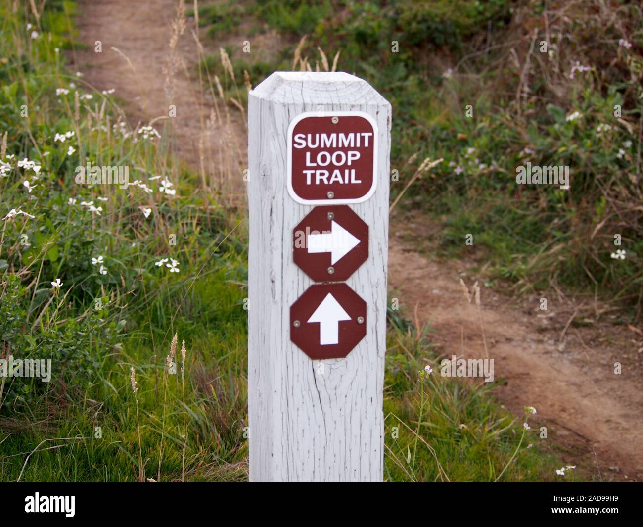 Daly City - November 10, 2011: Gipfel Loop Trail-Zeichen. Diese lange Rundweg führt Sie bis an die Spitze von San Bruno Mountain und wieder nach unten. Stockfoto