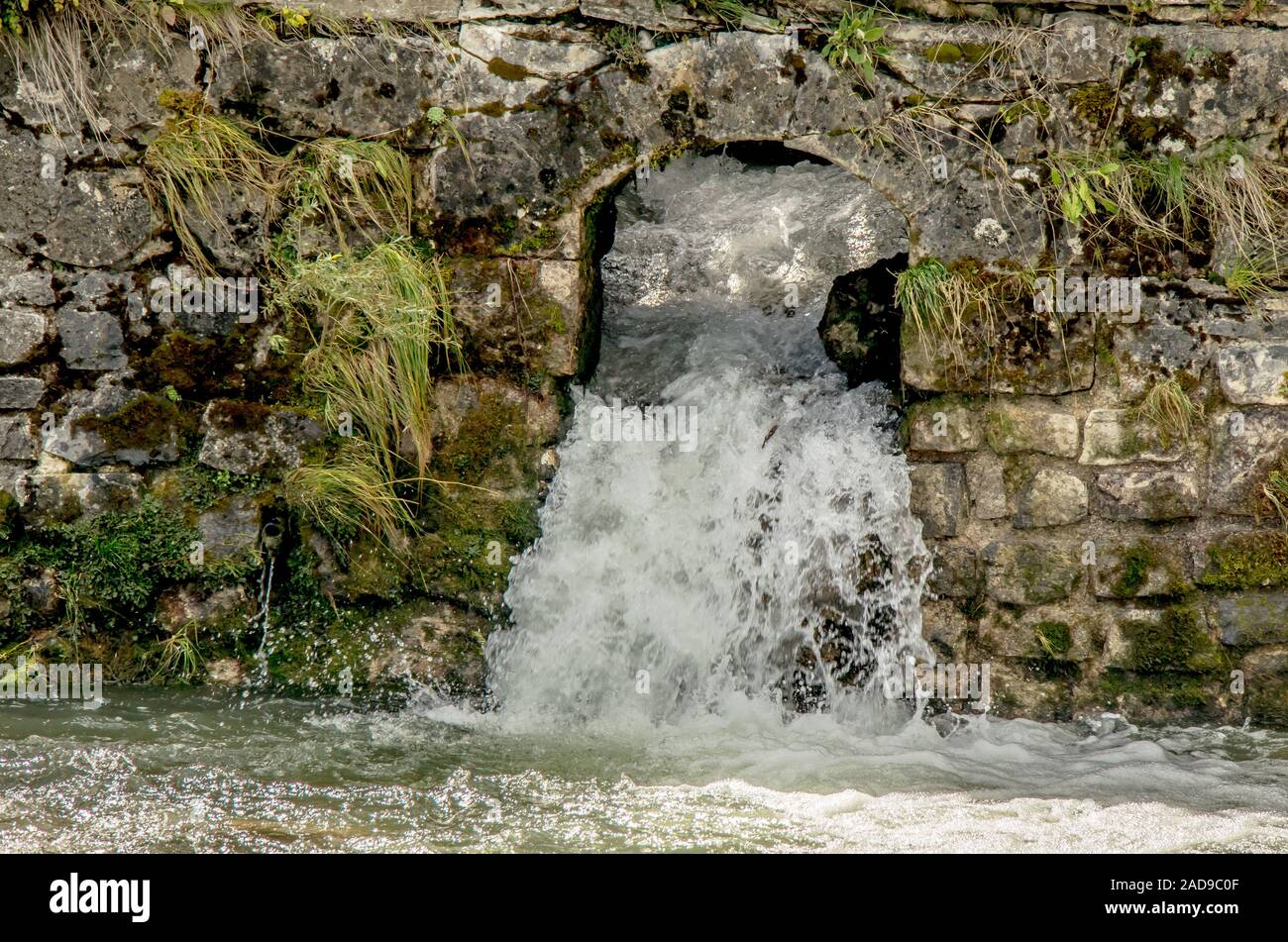 Mittelzufluss in der Sitter in Appenell, Schweiz Stockfoto