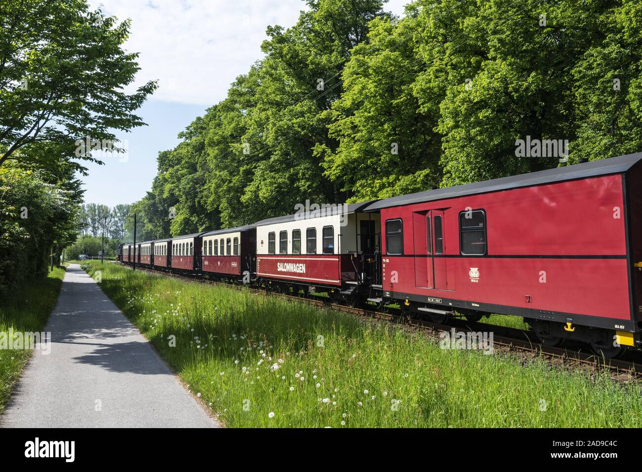Molli, historische Dampfeisenbahn, Kühlungsborn, Mecklenburg-Vorpommern, Deutschland, Europa Stockfoto