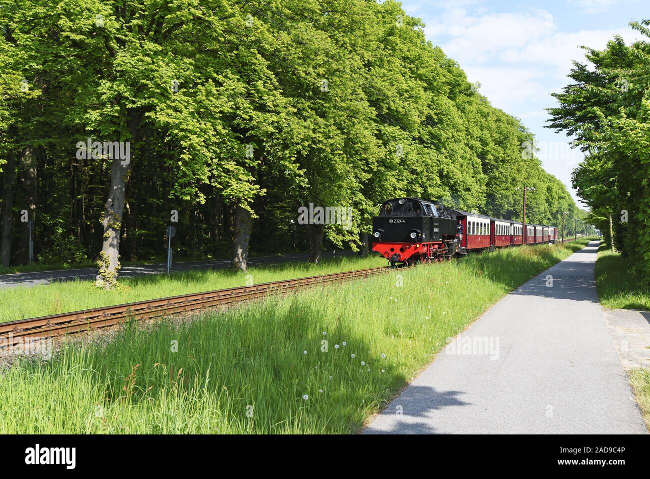 Molli, historische Dampfeisenbahn, Kühlungsborn, Mecklenburg-Vorpommern, Deutschland, Europa Stockfoto