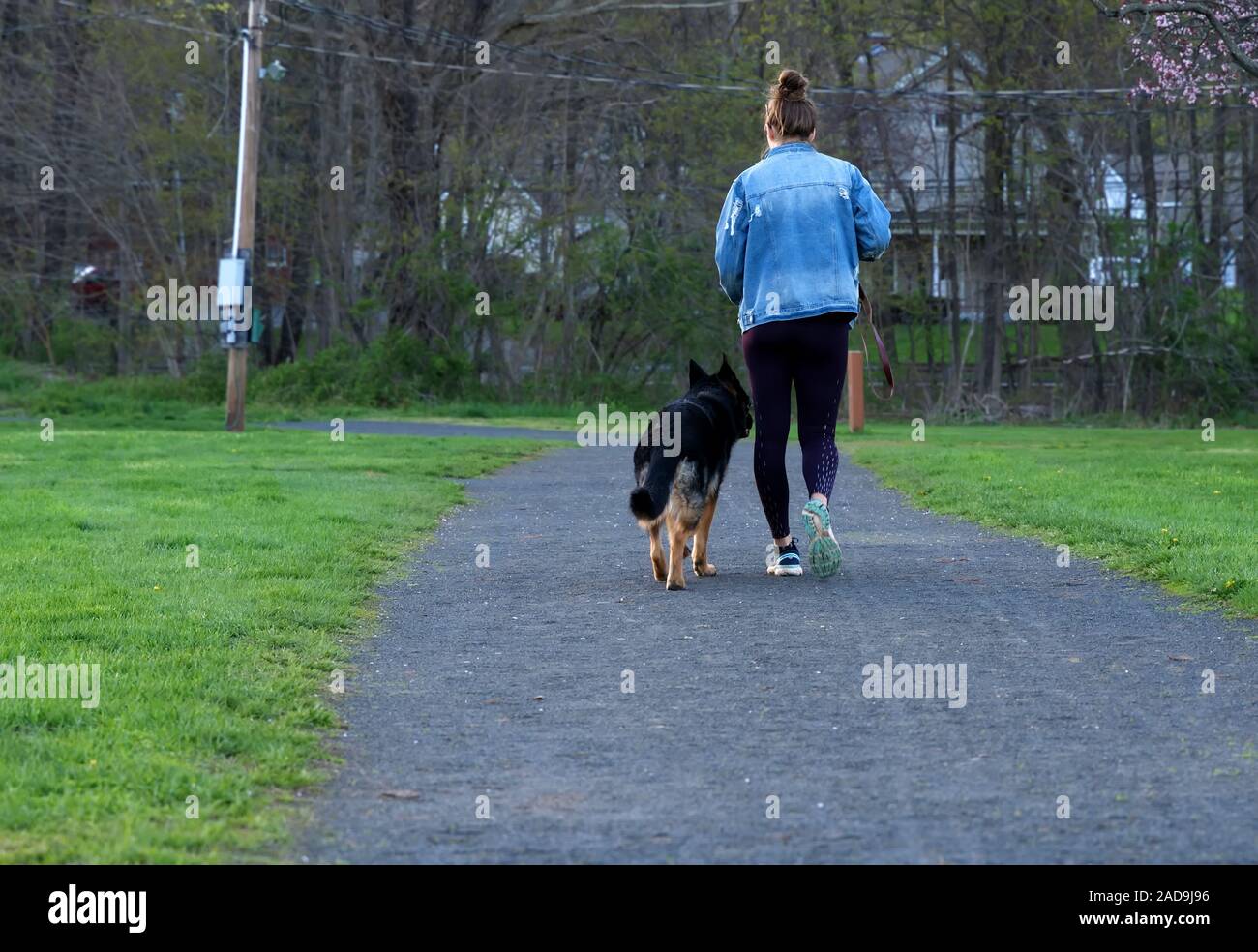 Middlefield CT USA. Apr 2019. Frau und Hund an der Leine Joggen an einem neuen England Park. Stockfoto