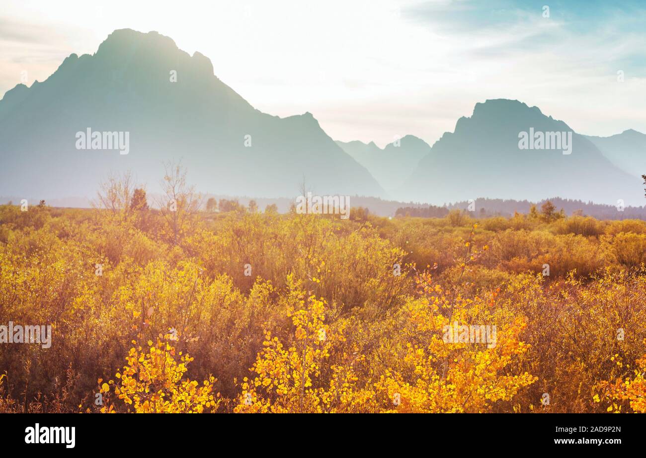 Herbst in Grand Teton Stockfoto