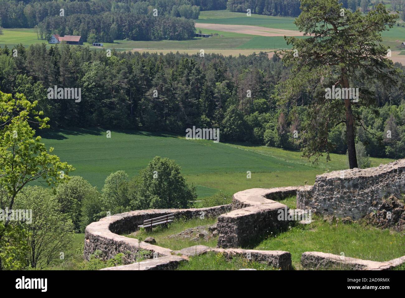 Schloss Waldeck Ruine Stockfoto