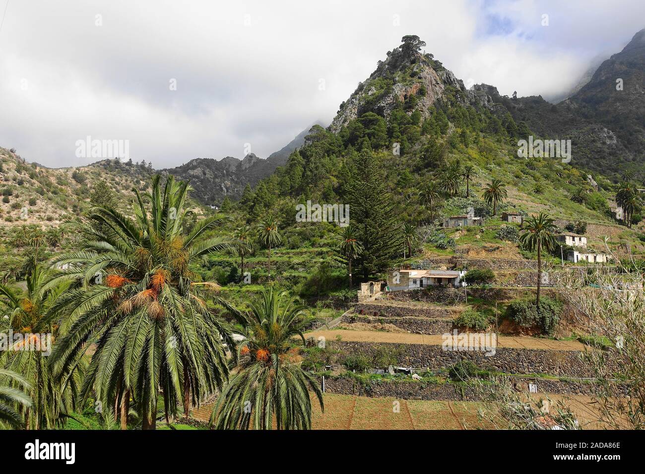 Charakteristische Landschaft in der Nähe von Valhermoso, La Gomera, Spanien Stockfoto