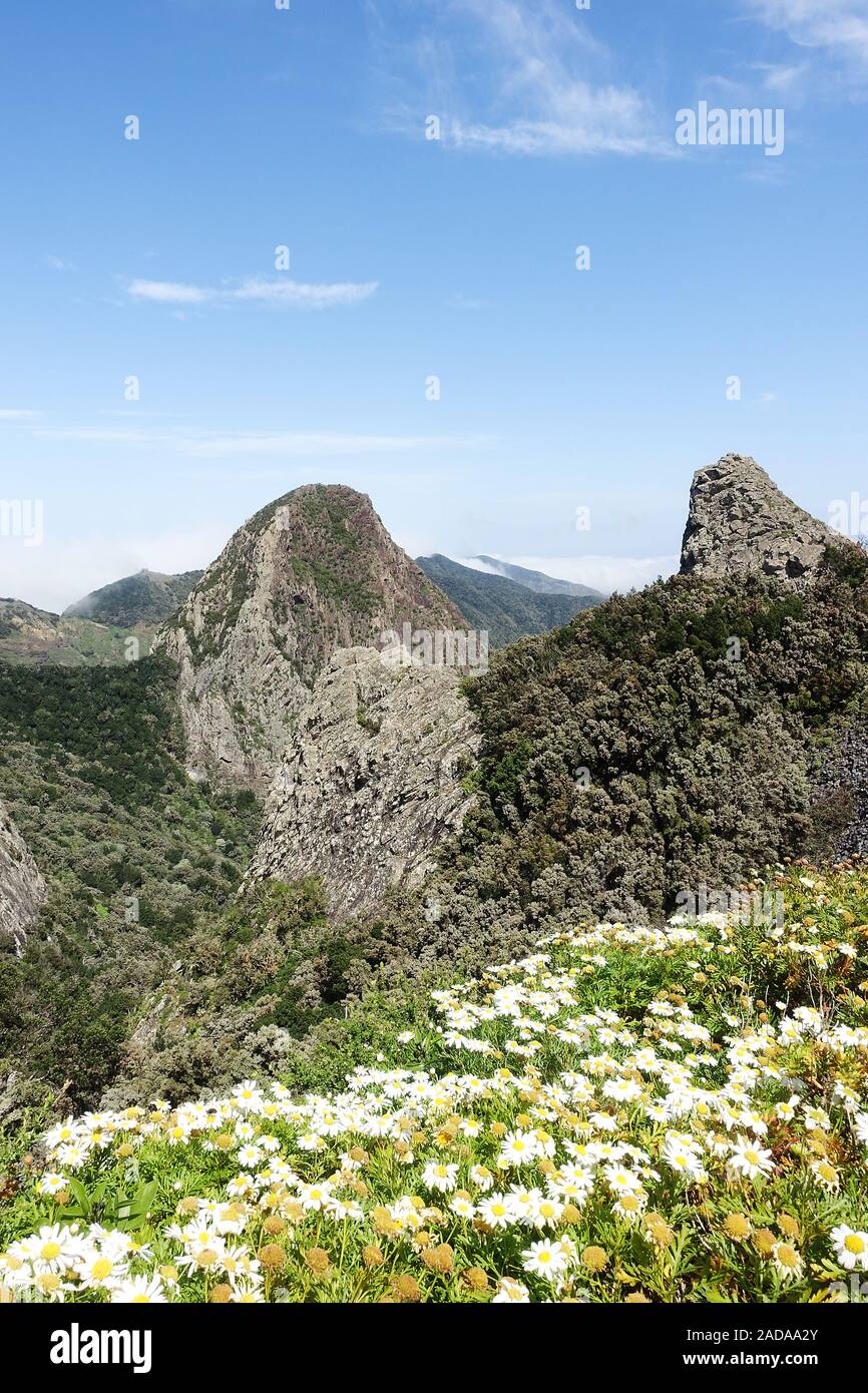 Die berühmten Verwitterten vulkanischen Schloten im Nationalpark Garajonay, La Gomera, Spanien Stockfoto
