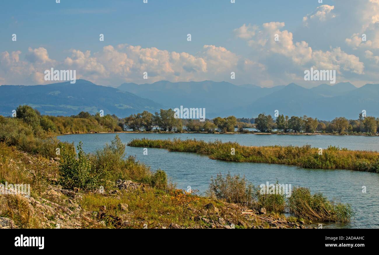 In der Nähe von Fussach rheindelta am Bodensee, Österreich Stockfoto