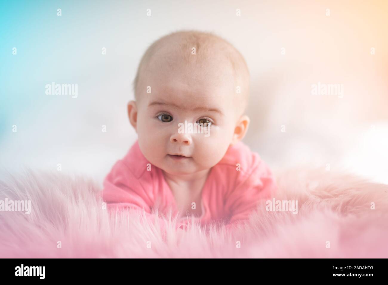Cute fünf Monate altes Baby Mädchen Kind auf einem Bett auf dem Bauch mit dem Kopf nach oben in Richtung Kamera schaut. Stockfoto
