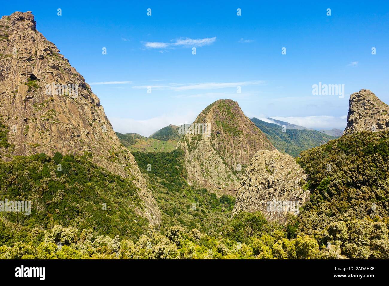 Die berühmten Verwitterten vulkanischen Schloten im Nationalpark Garajonay, La Gomera, Spanien Stockfoto